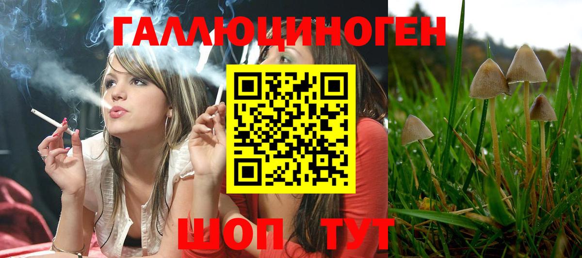 Псилоцибиновые грибы MAGIC MUSHROOMS Фролово