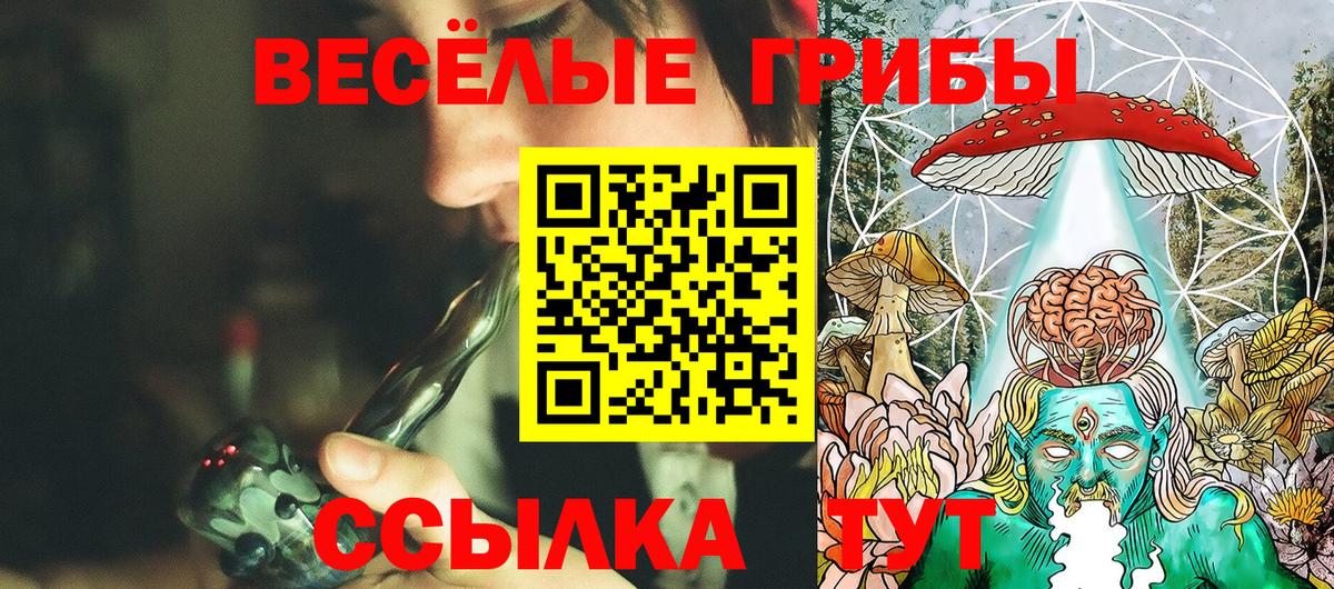 наркотики  Галлюциногенные грибы ЛСД  Вход с VPN  Фролово 